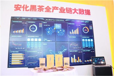 高馬二溪亮相全國“雙新雙創(chuàng)”博覽會 大數(shù)據(jù)賦能國禮茶，探索金融信息服務(wù)新路徑
